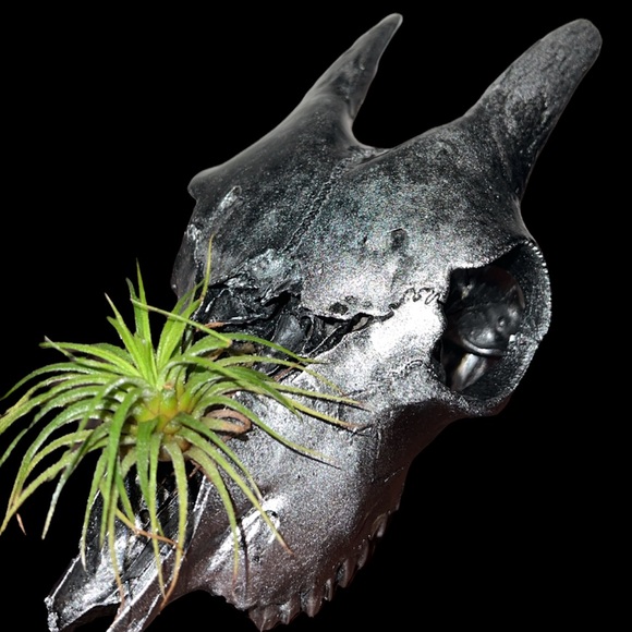 Meet your Posher, Rona - Picture 3 of 11